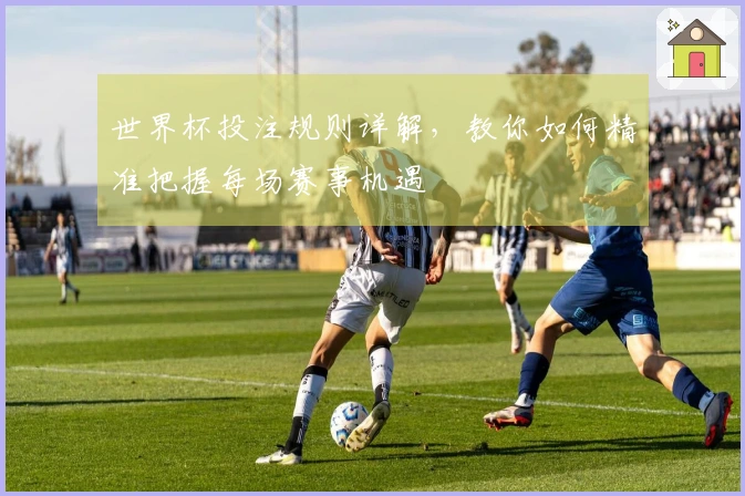 世界杯投注规则详解，教你如何精准把握每场赛事机遇